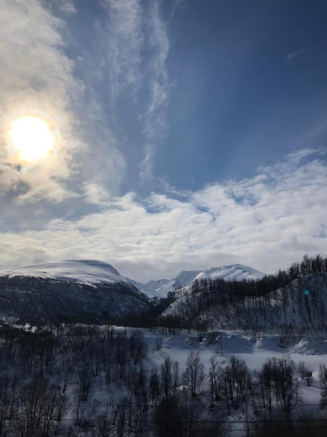 Hundbergan Apartment-Free Parking-15 Min From Tromso Tromsdalen Dış mekan fotoğraf